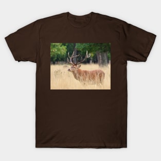 Red Deer Stag T-Shirt